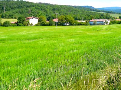 Gámiz 02