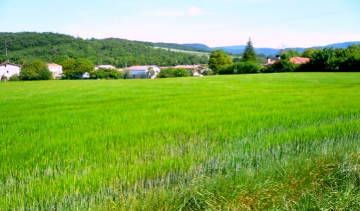 Gámiz 03