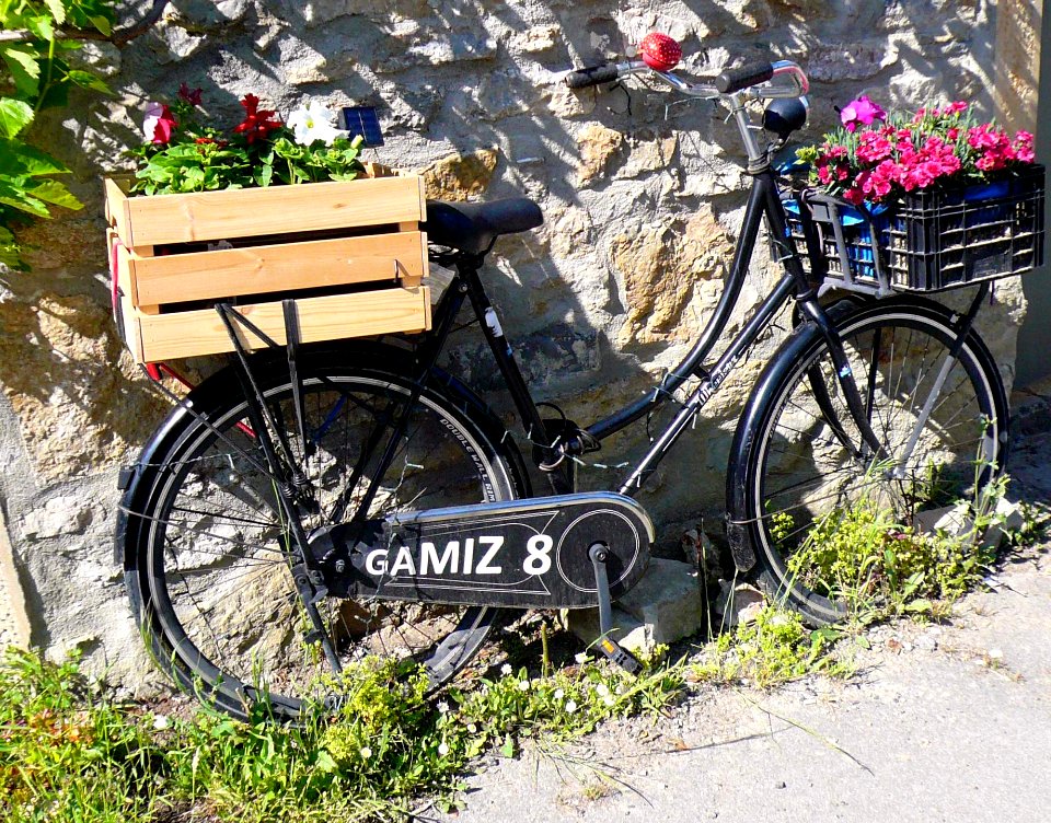 Gámiz 16