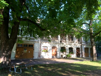Gärtnerhuus Schwarzpark Basel 2019 (2)