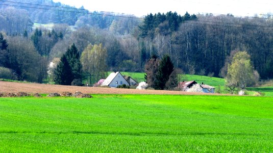Gänsmühle (Mühlhausen Opf.)