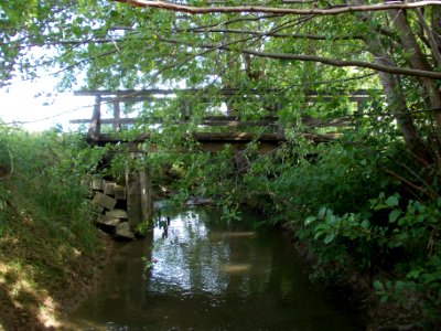 Gabernica 13