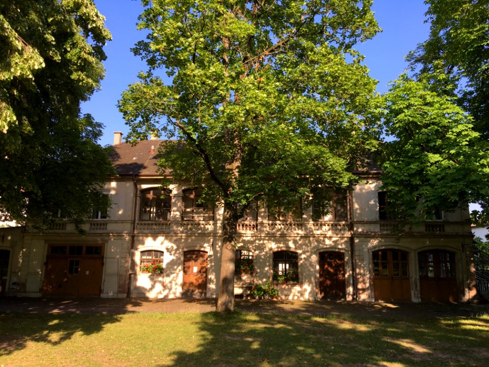 Gärtnerhuus Schwarzpark Basel 2019 (1)