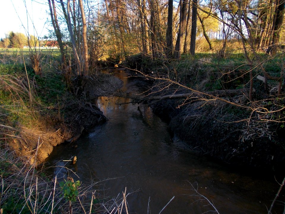 Gabernica 09
