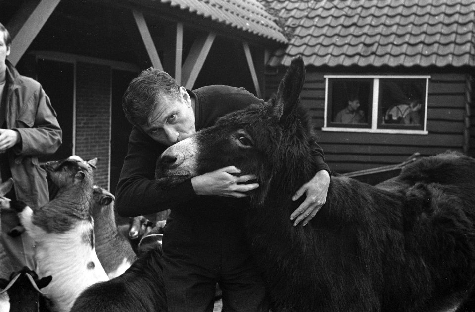 G.K. van het Reve , met ezel, Bestanddeelnr 921-9988