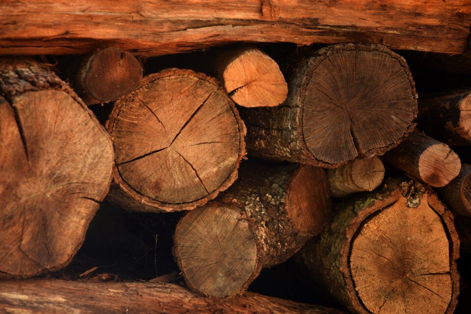 Summer spring firewood