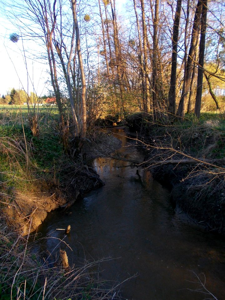 Gabernica 08