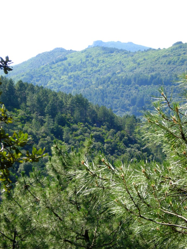 Génolhac (Gard, Fr), paysage cévenol