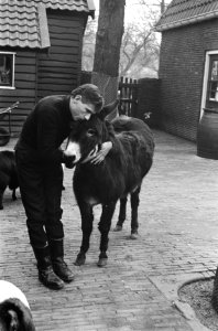 G.K. van het Reve, met ezel, Bestanddeelnr 921-9987