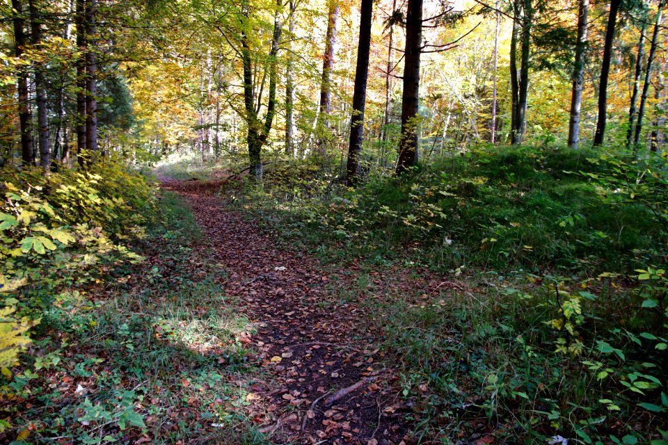 Gögerlburg südostwall
