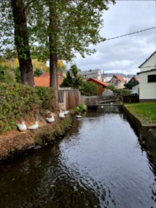 Görkwitz 03