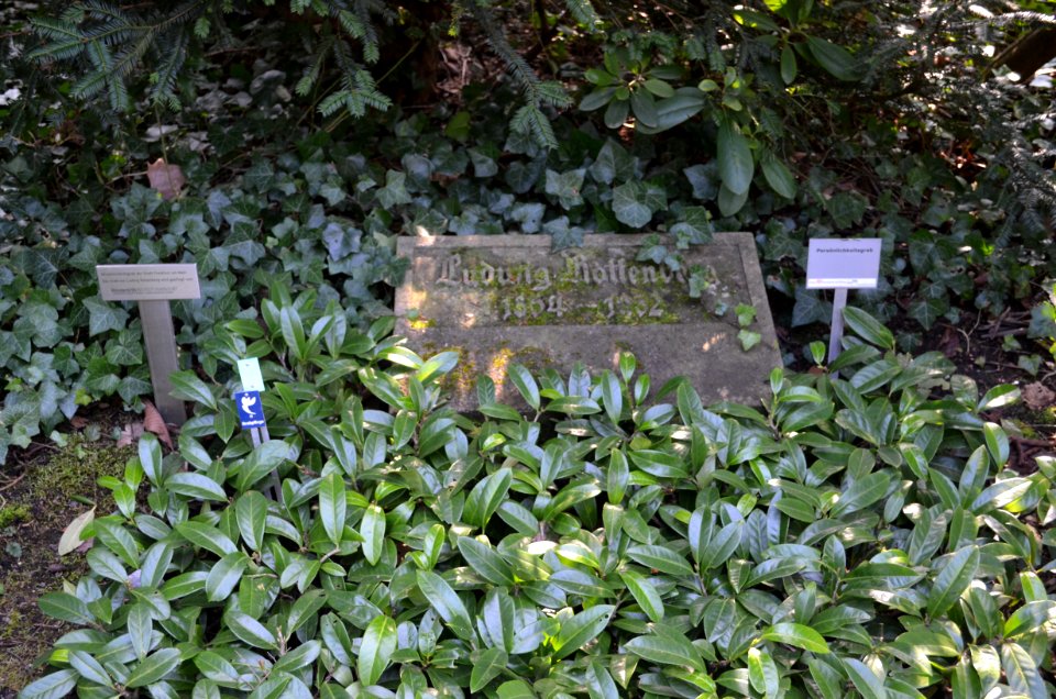 Frankfurt, Hauptfriedhof, Grab II GG29 Ludwig Rottenberg