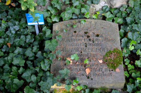 Frankfurt, Hauptfriedhof, Grab I 253 Goebels (1)