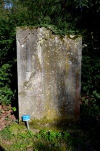 Frankfurt, Hauptfriedhof, Grab J 1561 Allmang