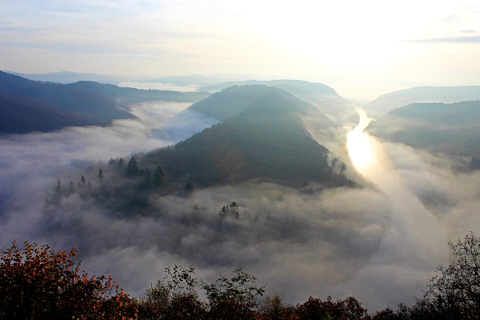 Forest viewpoint nature