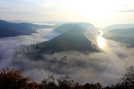 Forest viewpoint nature photo