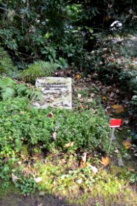 Frankfurt, Hauptfriedhof, Grab II Elisabeth Schwarzhaupt (1)