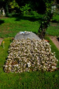 Frankfurt, Hauptfriedhof, Grab Lutz Sikorski