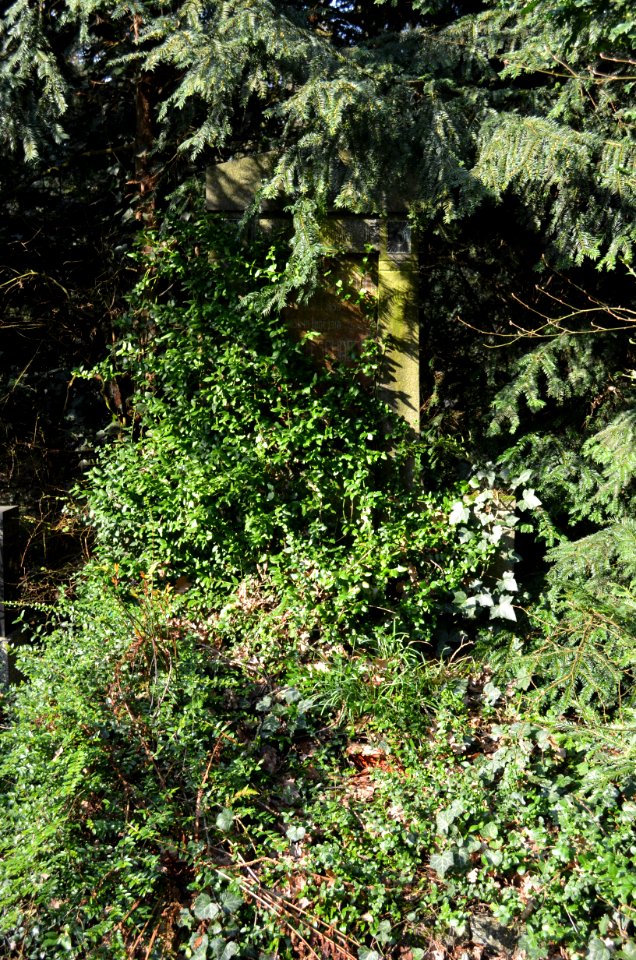Frankfurt, Hauptfriedhof, Grab I 635 Schaefer, Fritz