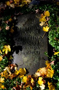 Frankfurt, Hauptfriedhof, Grab J 751b Matthias Jacob Schleiden