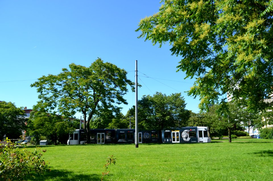 Frankfurt-Niederrad, Alter Friedhof, Haardtwaldplatz, Bahnwendeplatz