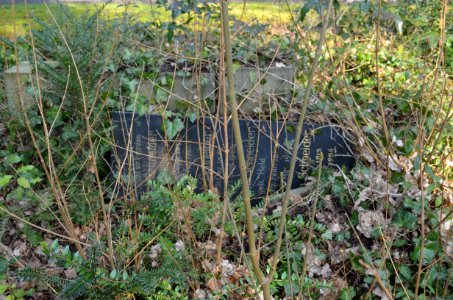 Frankfurt, Hauptfriedhof, Grab I 632 Schneider