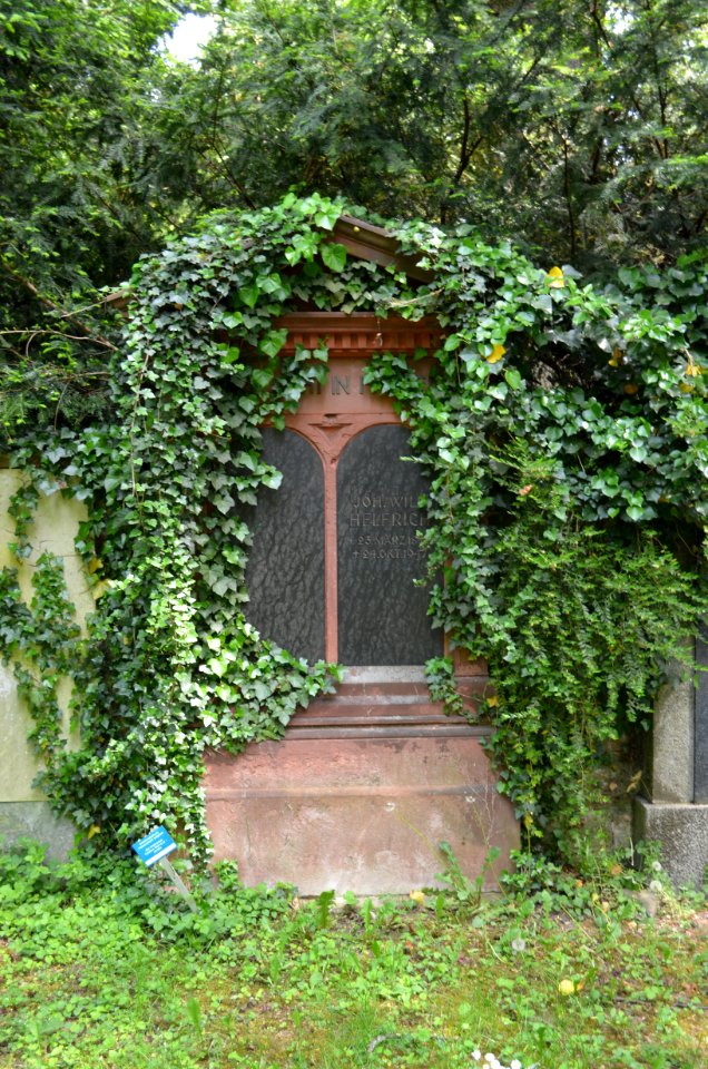 Frankfurt-Bornheim, Friedhof, Grab B adM 77 Wenzel-Helfrich