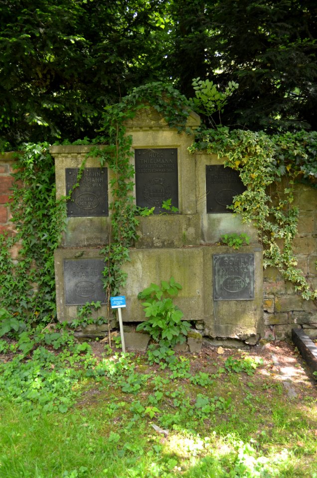 Frankfurt-Bornheim, Friedhof, Grab B adM 60 Thielmann