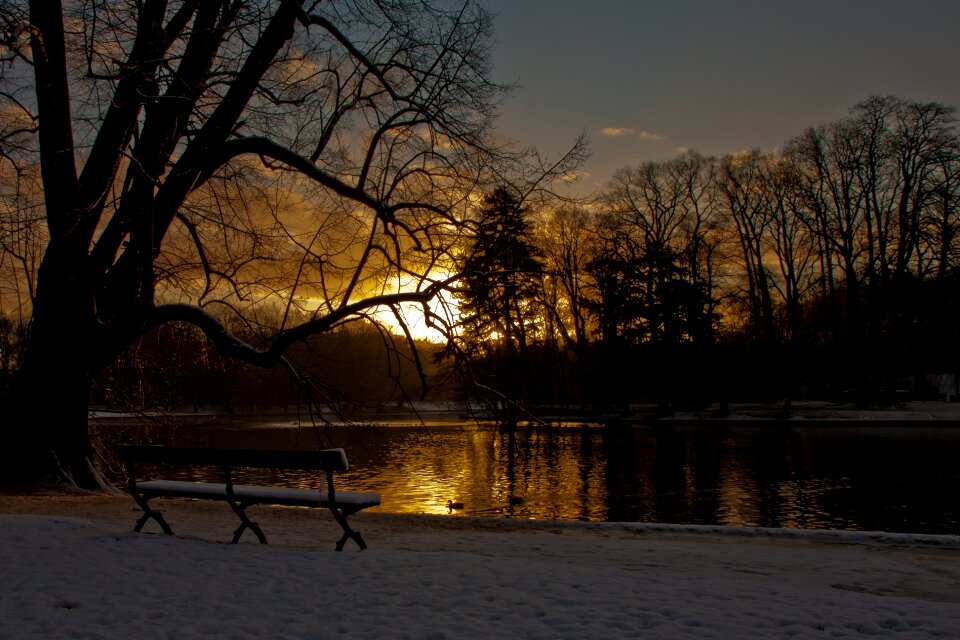 Winter landscape calm