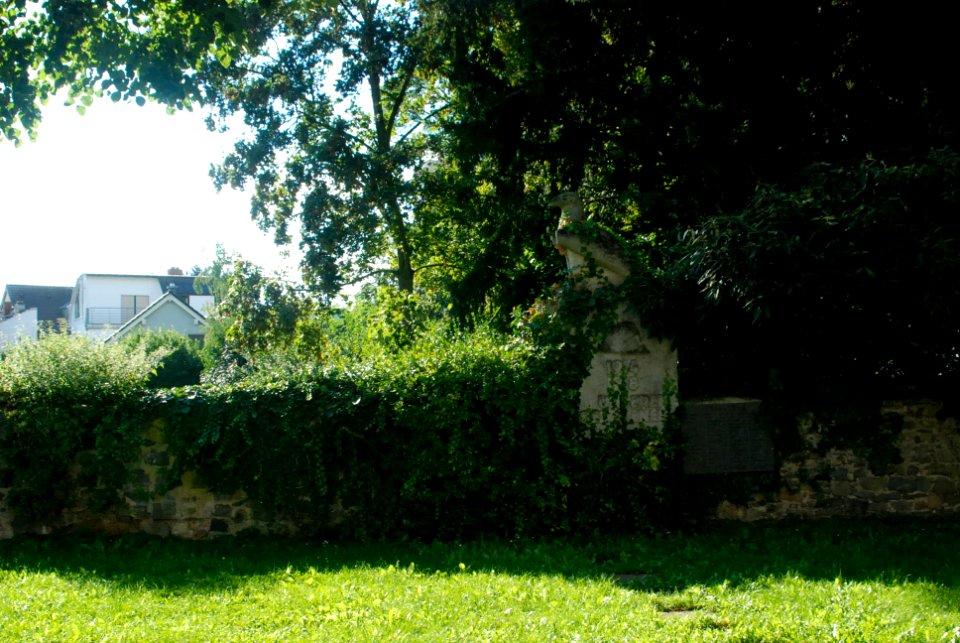 Frankfurt-Hausen Alter Friedhof A4