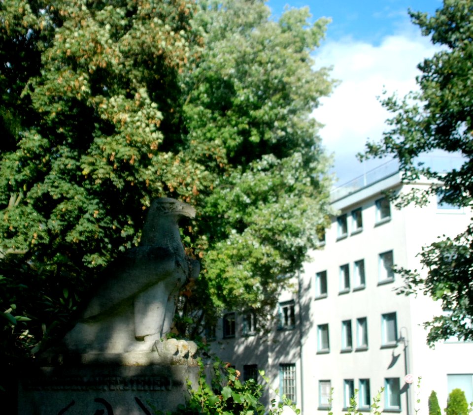 Frankfurt-Hausen Alter Friedhof A5