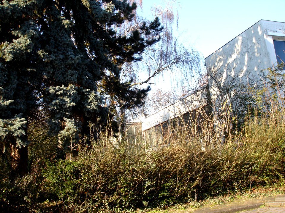 Frankfurt-Rödelheim Strubbergstraße 80 bb