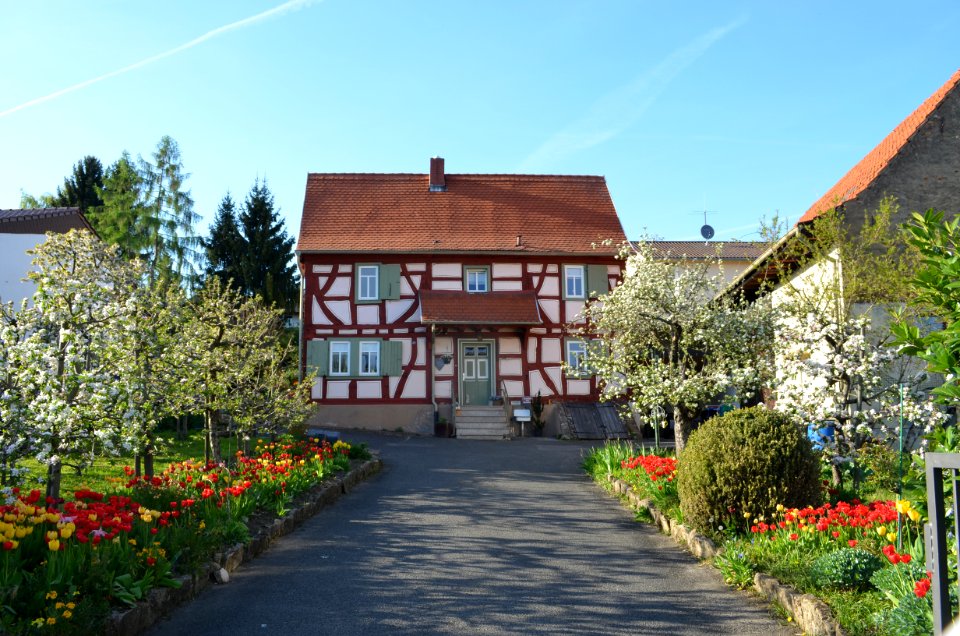 Frankfurt-Enkheim, Riedstraße 37 (1)
