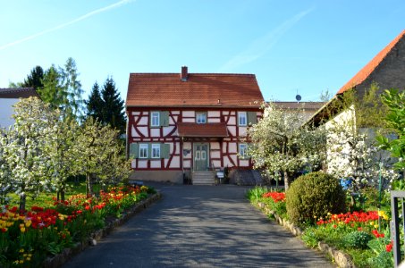 Frankfurt-Enkheim, Riedstraße 37 (1)