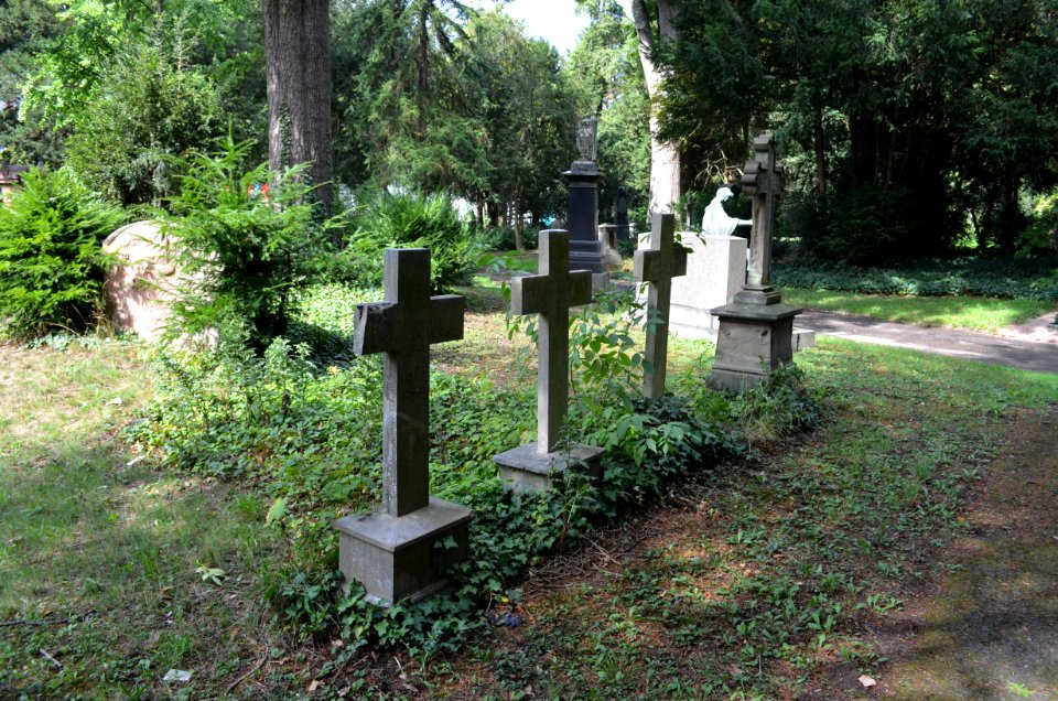 Frankfurt, Hauptfriedhof, Grab D 247 Schuboth