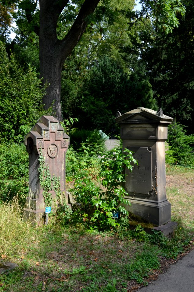 Frankfurt, Hauptfriedhof, Grab D 254 Mylius-Kohl