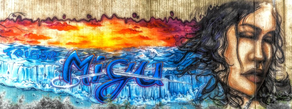 Sprayer wall painting street art