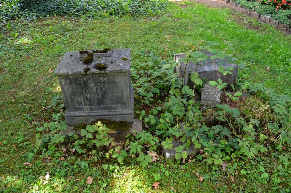 Frankfurt, Hauptfriedhof, Grab D 134 Sarassin (3)
