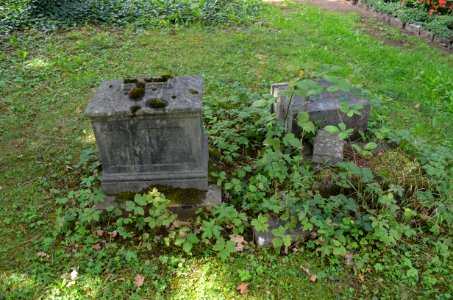 Frankfurt, Hauptfriedhof, Grab D 134 Sarassin (3) photo