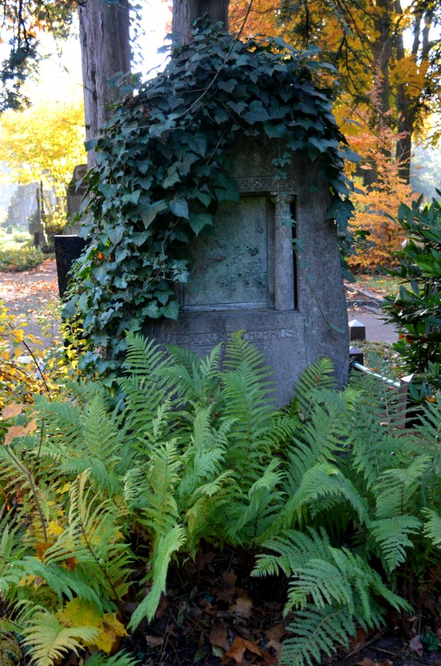 Frankfurt, Hauptfriedhof, Grab F 842 Scherbius