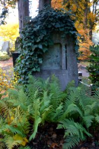 Frankfurt, Hauptfriedhof, Grab F 842 Scherbius
