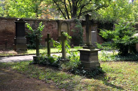 Frankfurt, Hauptfriedhof, Grab D 246 Rapp