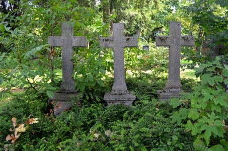 Frankfurt, Hauptfriedhof, Grab D 16 Belli-Seufferheld