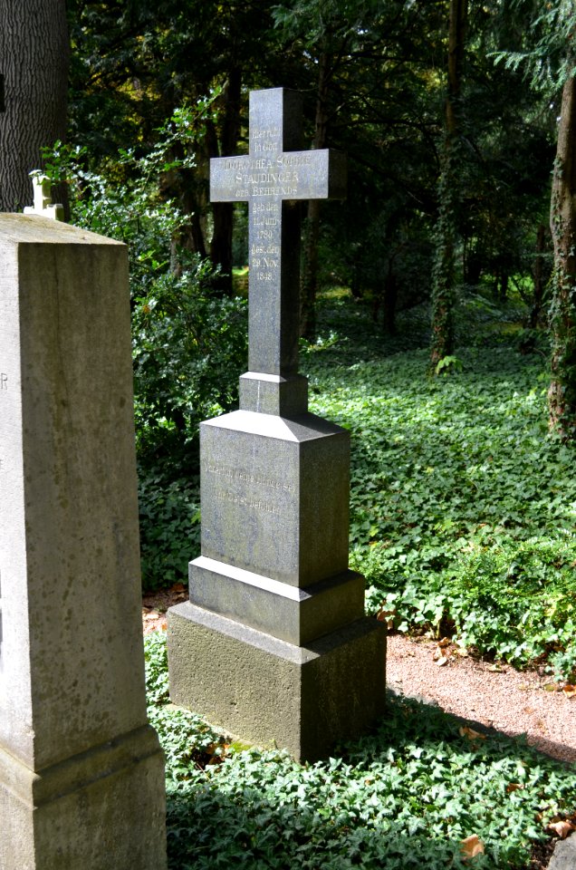 Frankfurt, Hauptfriedhof, Grab C 59-60 Staudinger (3)