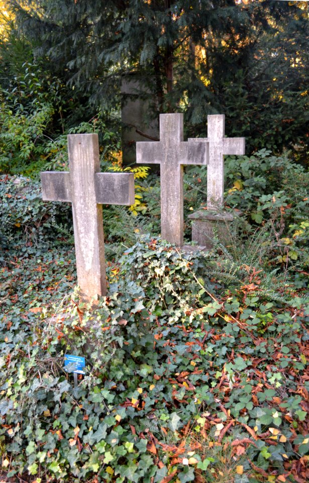 Frankfurt, Hauptfriedhof, Grab C 43 Dietze