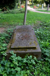 Frankfurt, Hauptfriedhof, Grab D 467-469 Stier (2)