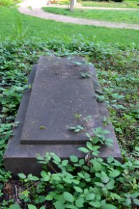Frankfurt, Hauptfriedhof, Grab D 467-469 Stier (1)