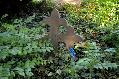 Frankfurt, Hauptfriedhof, Grab D 490 Weogand-Dieterich