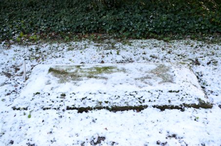 Frankfurt, Hauptfriedhof, Grab D 487 von Fritsch