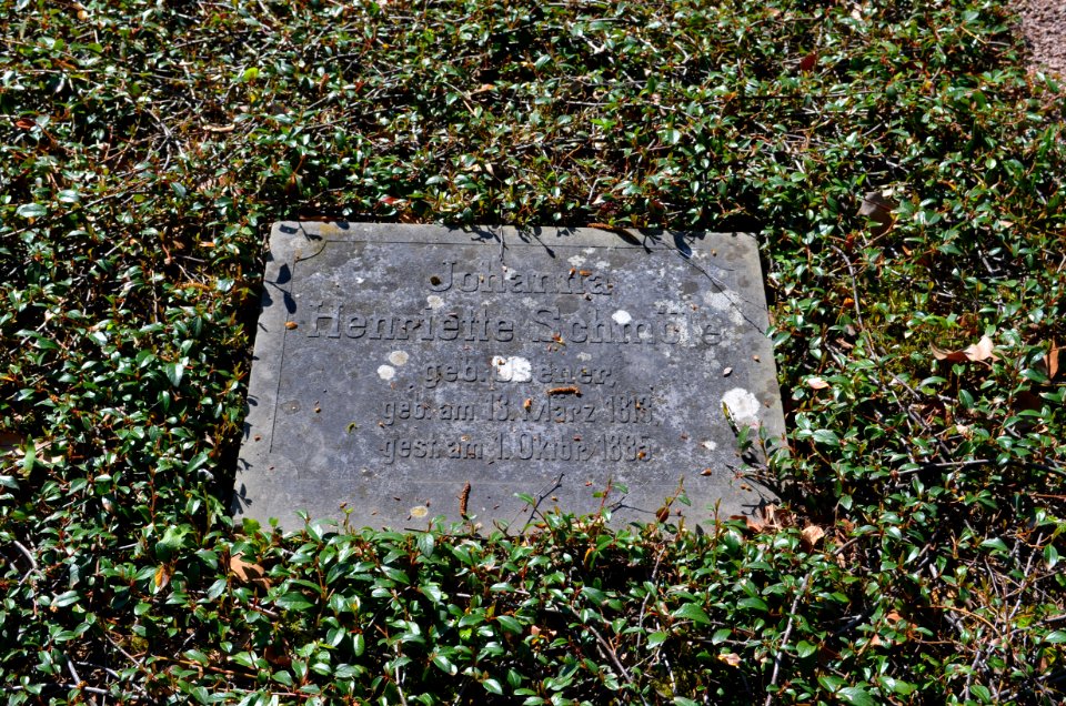 Frankfurt, Hauptfriedhof, Grab E an der Mauer 305a Friedrich Philipp Usener (1)
